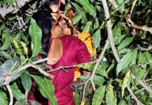 सर्लाहीको रामवनमा दुई युवती झुन्डिएको अवस्थामा फेला