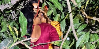 सर्लाहीको रामवनमा दुई युवती झुन्डिएको अवस्थामा फेला